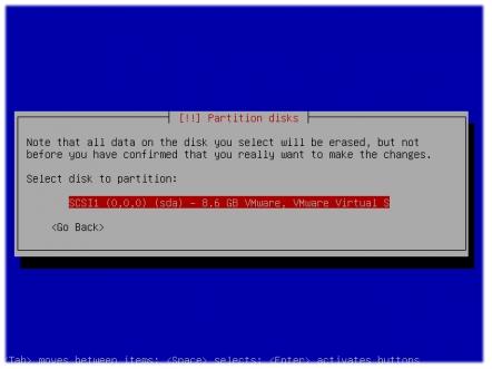 Pilih disk - Instalasi Debian Lenny
